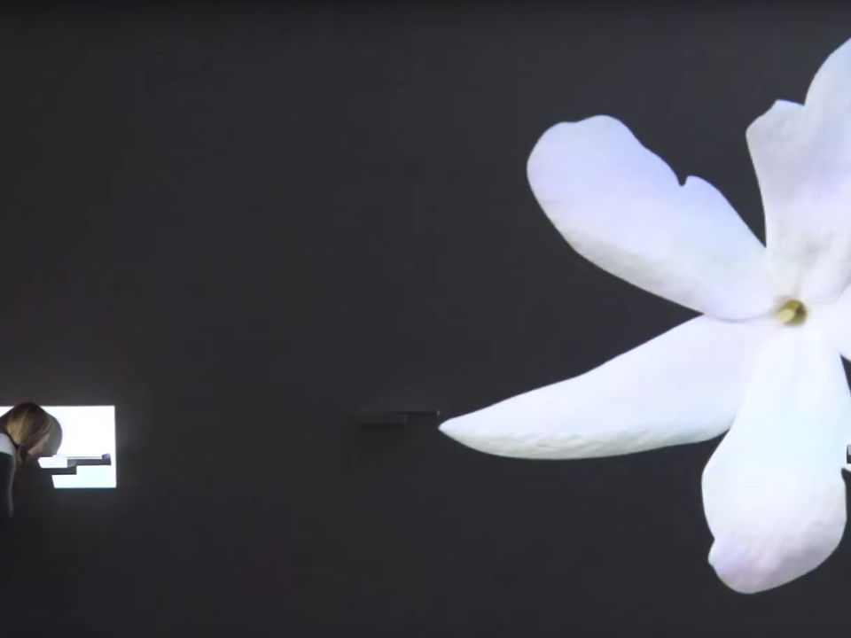 marketing sensorial palacio viana viana essence marketing sensorial palacio viana viana essence