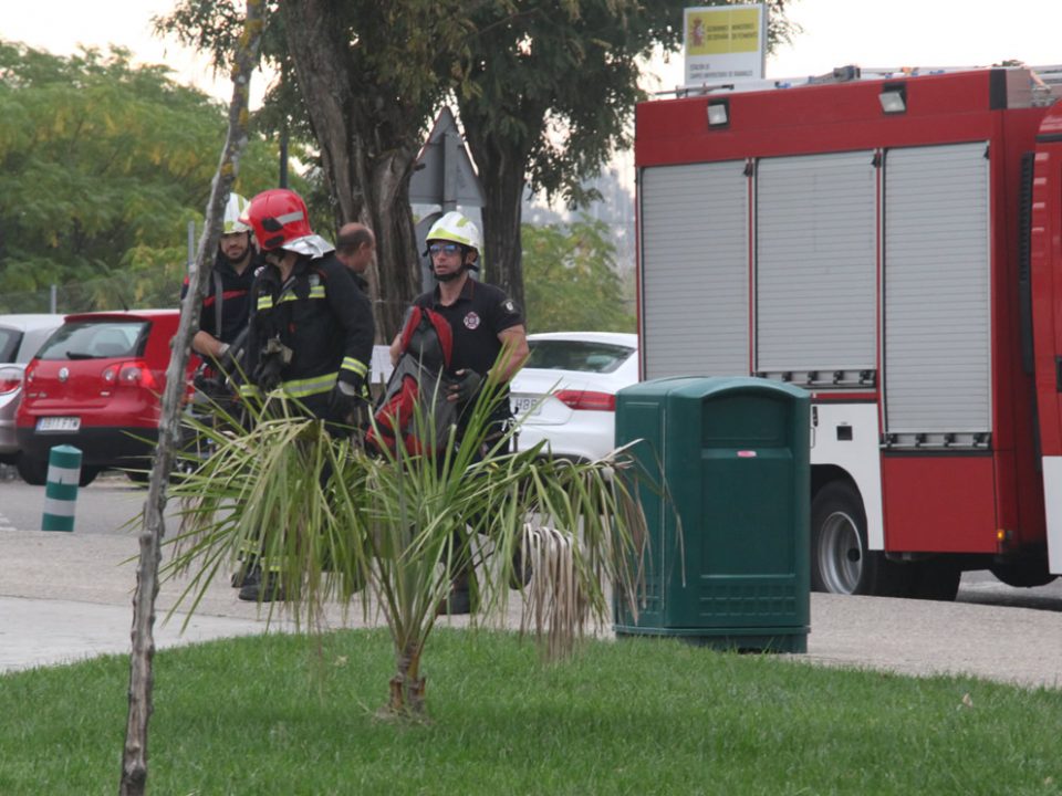 grupopacc 03 grupopacc 03