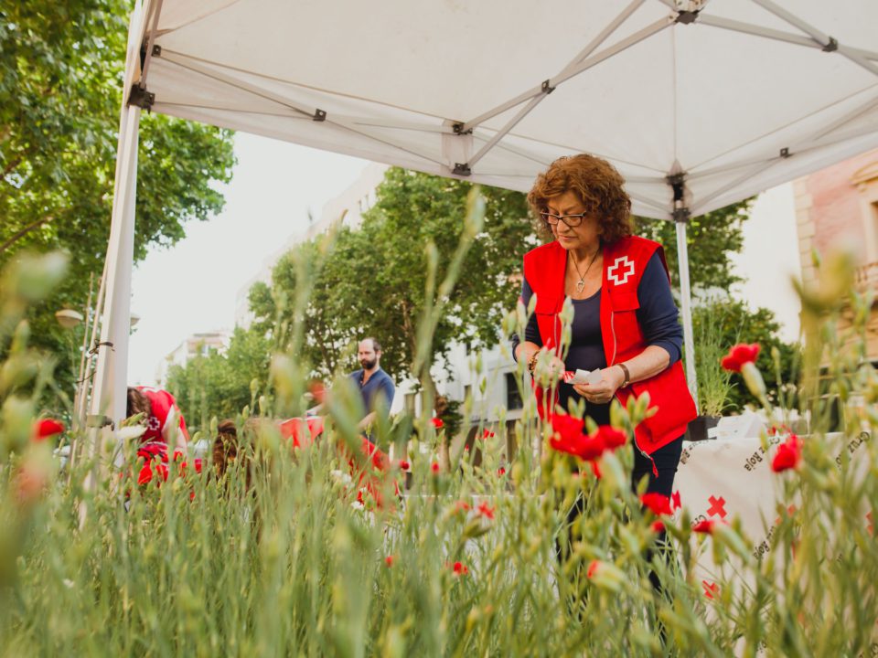cruz roja claveles por la igualdad street marketing 01 cruz roja claveles por la igualdad street marketing 01